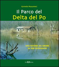 Photo gallery principale