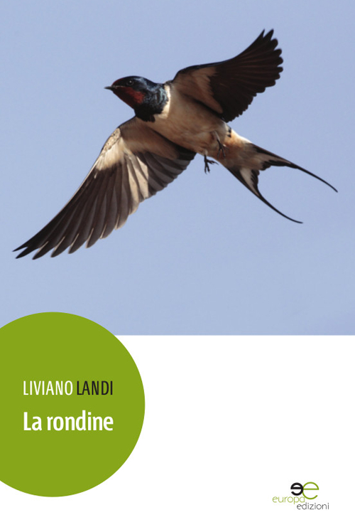 La rondine