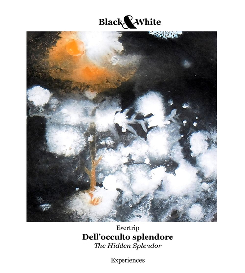 Dell'occulto splendore-The hidden splendor