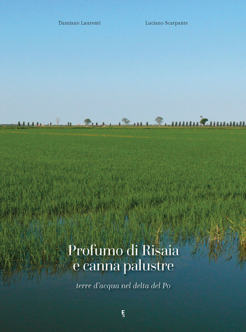 Profumo di risaia e canna palustre. Terre d'acqua nel delta del Po