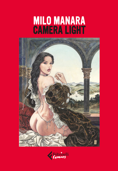 Camera light