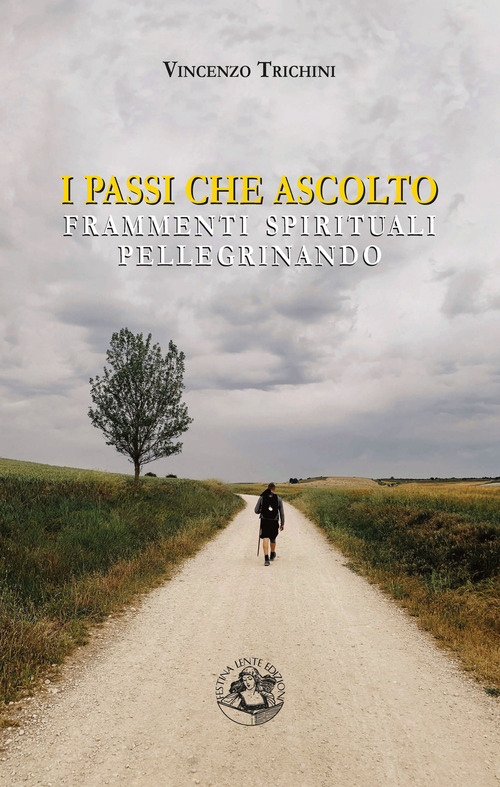 I passi che ascolto. Frammenti spirituali pellegrinando