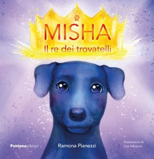 Misha. Il re dei trovatelli