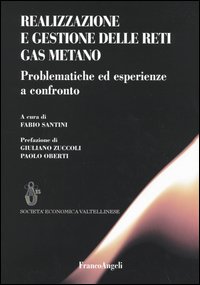 Realizzazione e gestione delle reti gas metano. Problematiche ed esperienze a confronto