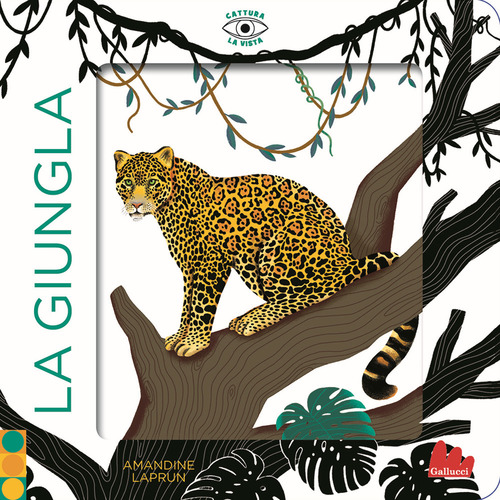 La giungla. Cattura la vista