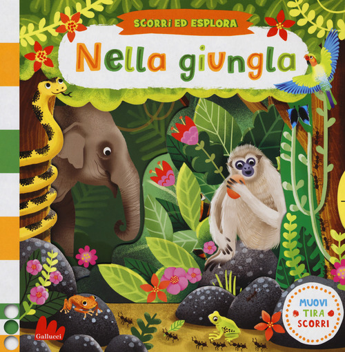 Nella giungla. Scorri ed esplora
