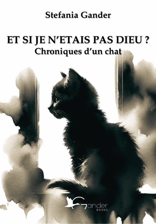 Et si je n'etait pas Dieu? Chroniques d'un chat