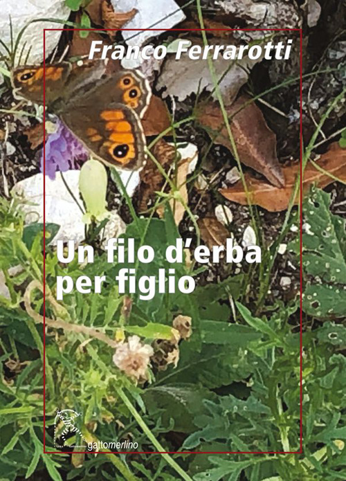 Un filo d'erba per figlio