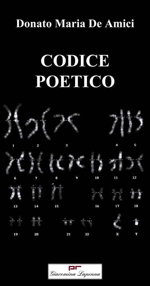 Codice poetico