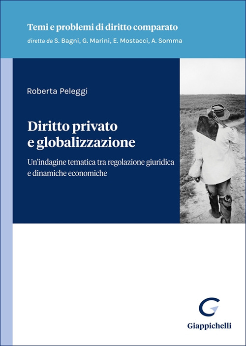 Diritto privato e globalizzazione. Un'indagine tematica tra regolazione giuridica e dinamiche economiche