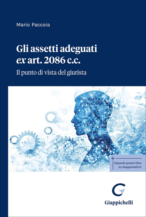 Gli assetti adeguati ex art. 2086 c.c. Il punto di vista del giurista