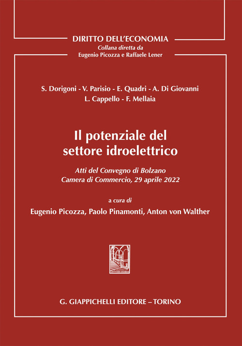 Il potenziale del settore idroelettrico. Atti del Convegno di Bolzano 29 aprile 2022 tenutosi presso la Camera di Commercio, Industria, Artigianato e Agricoltura di Bolzano