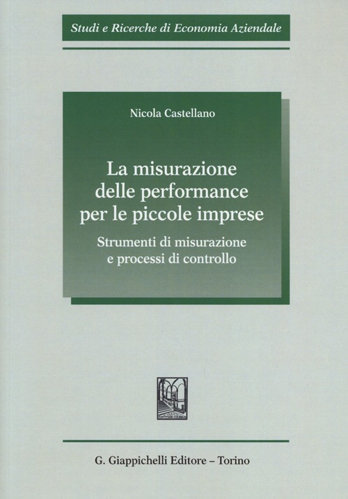 La misurazione delle performance per le piccole imprese. Strumenti di misurazione e processi di controllo