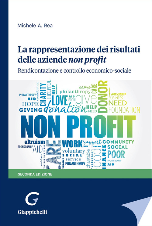 La rappresentazione dei risultati delle aziende non profit. Rendicontazione e controllo economico-sociale