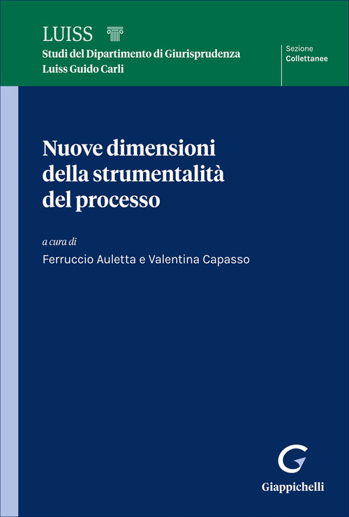 Nuove dimensioni della strumentalit&agrave; del processo