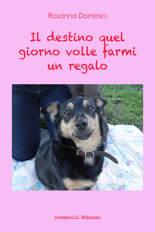 Il destino quel giorno volle farmi un regalo