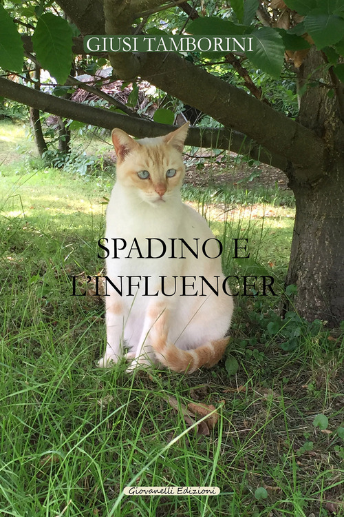 Spadino e l'influencer
