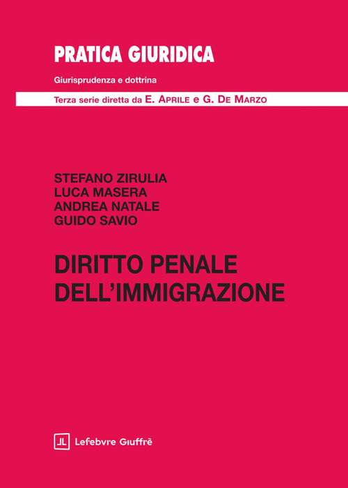 Diritto penale dell'immigrazione