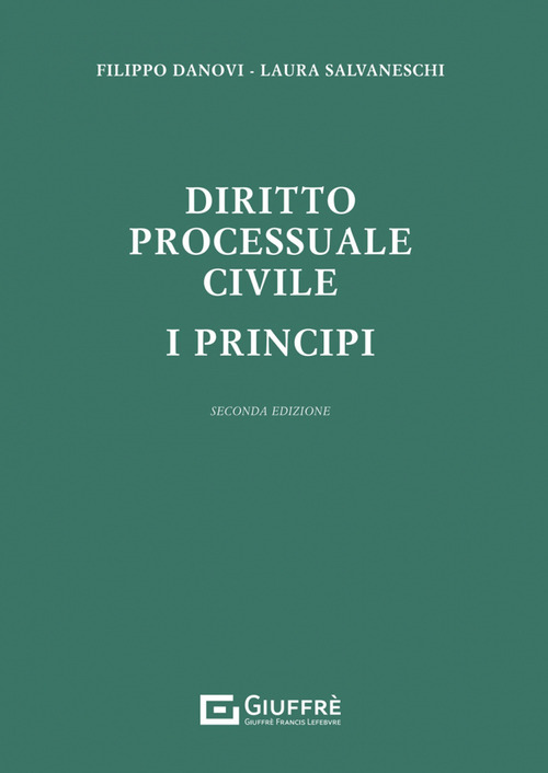Diritto processuale civile. I principi