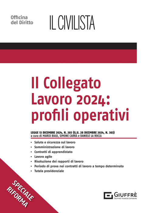 Il collegato lavoro 2024: profili operativi