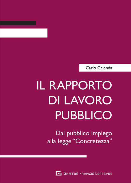 Il rapporto di lavoro pubblico. Dal pubblico impiego alla legge &laquo;Concretezza&raquo;