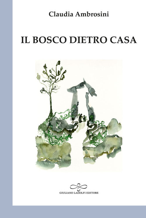 Il bosco dietro casa