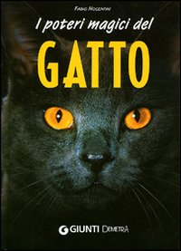 I poteri magici del gatto