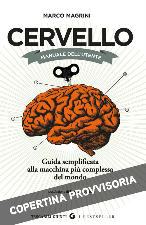 Cervello. Manuale dell'utente. Guida semplificata alla macchina pi&ugrave; complessa del mondo
