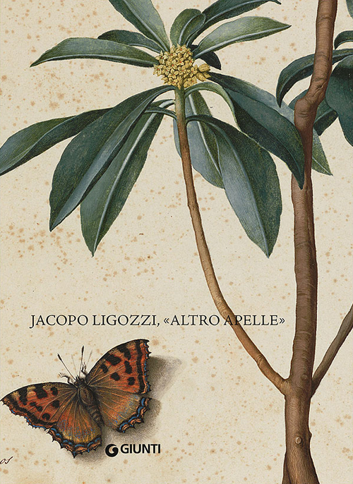 Jacopo Ligozzi, "altro Apelle". Ediz. Italiana e inglese