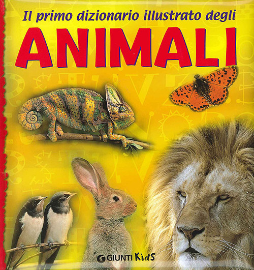 Photo gallery principale
