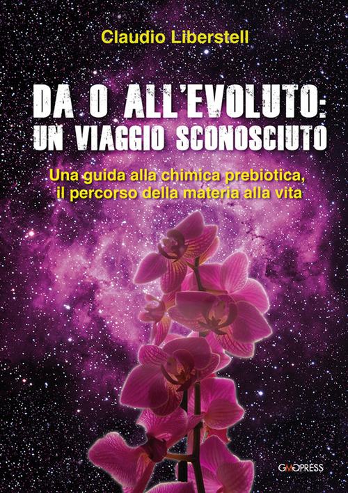 Da 0 all'evoluto: un viaggio sconosciuto. Una guida alla chimica prebiotica, il percorso della materia alla vita