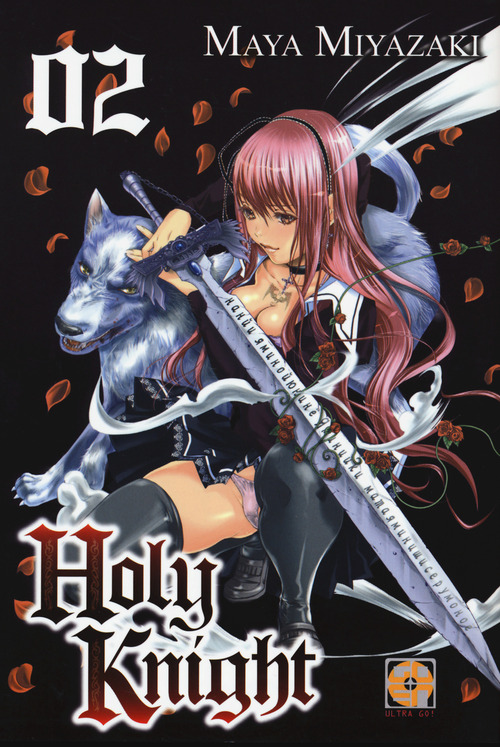 Holy knight