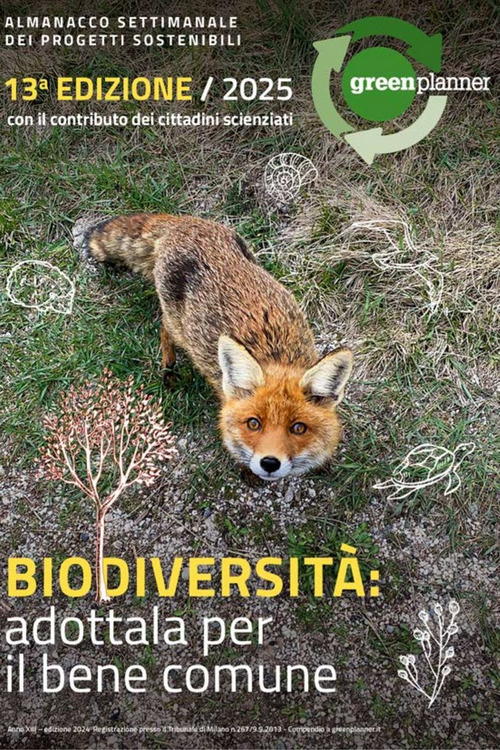 Green Planner 2025. L'almanacco-agenda della sostenibilità: tecnologie, progetti sostenibili e buone pratiche Green