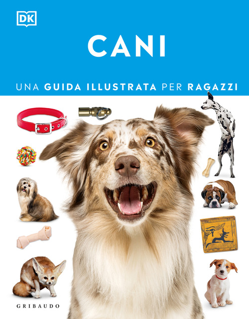 Photo gallery principale