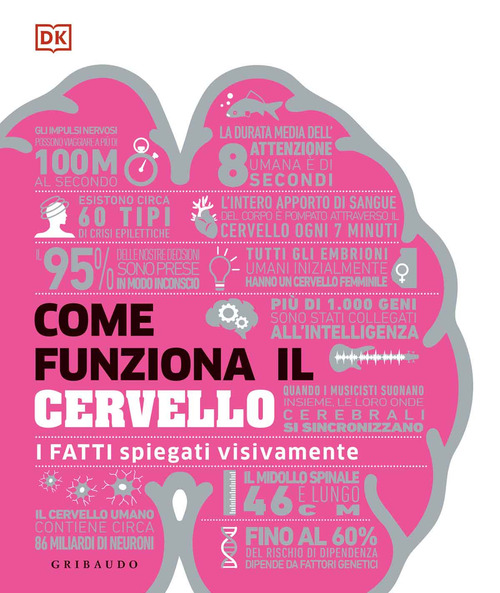 Come funziona il cervello. I fatti spiegati visivamente