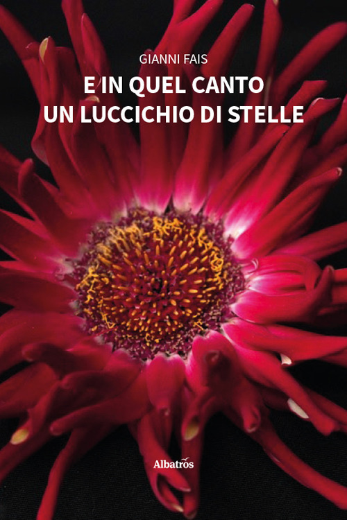 E in quel canto un luccichio