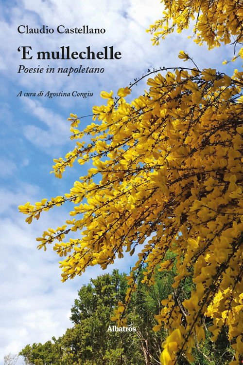 Photo gallery principale