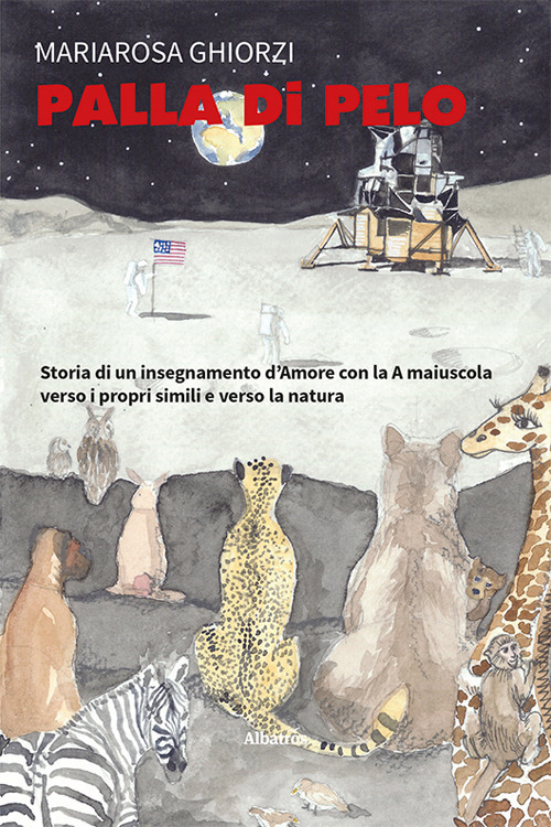 Photo gallery principale