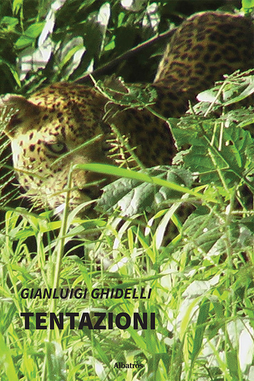 Photo gallery principale