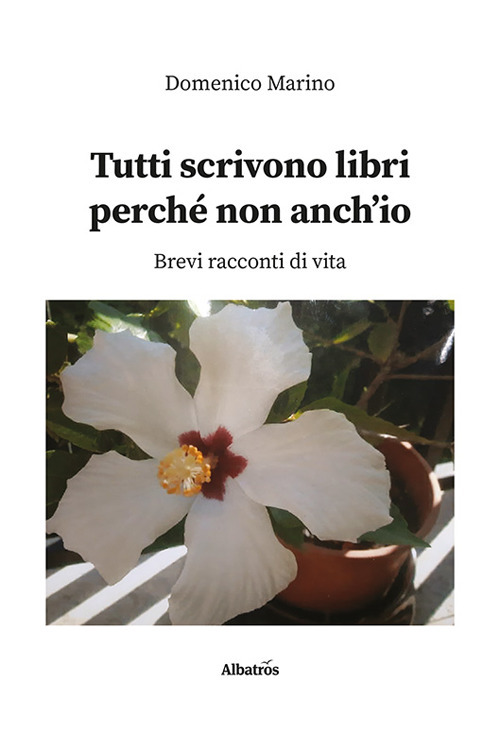 Photo gallery principale