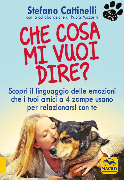 Photo gallery principale