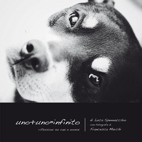 Photo gallery principale