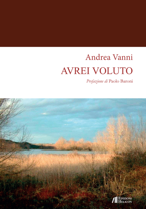 Avrei voluto