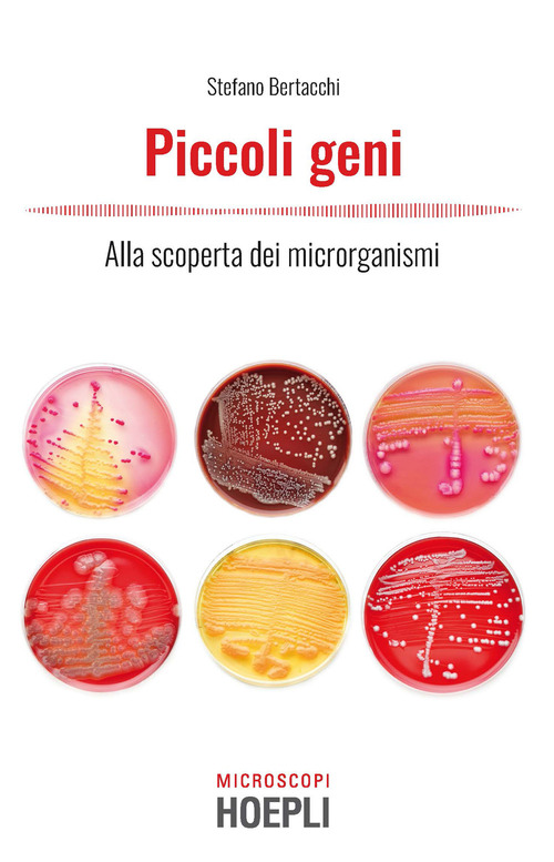 Photo gallery principale
