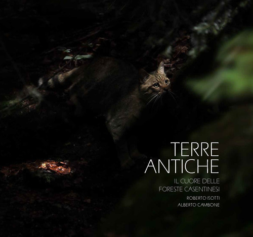 Terre antiche. Il cuore delle foreste Casentinesi