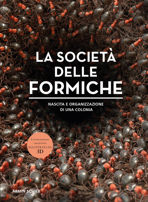 La società delle formiche