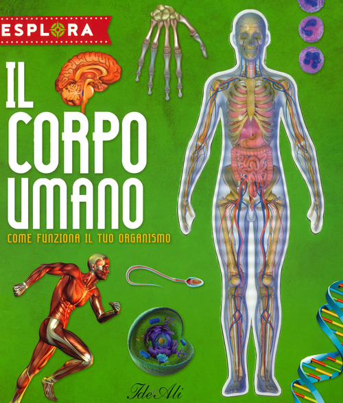 Il corpo umano. Come funziona il tuo organismo. Esplora