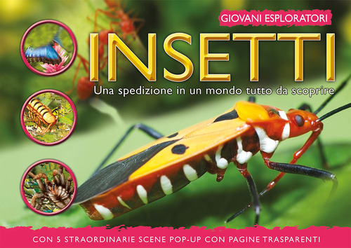 Insetti. Una spedizione in un mondo tutto da scoprire