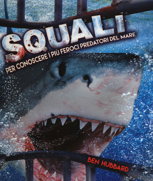 Photo gallery principale