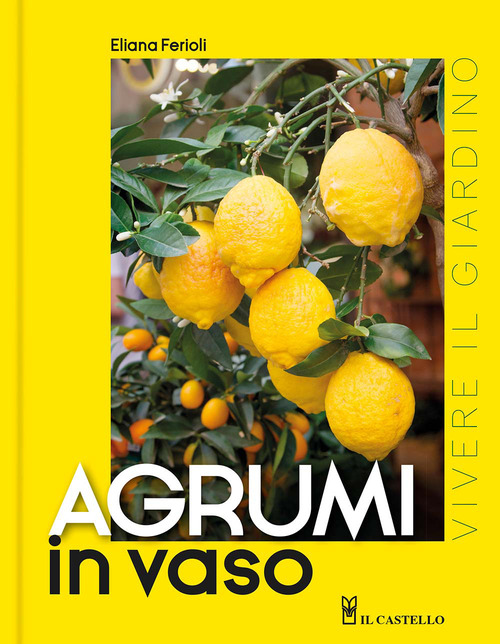 Agrumi in vaso